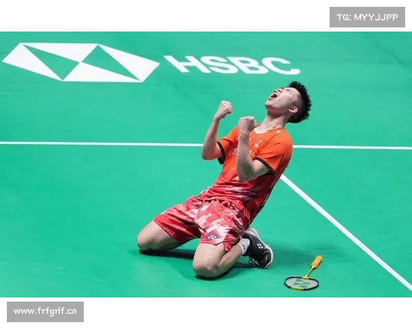 羽联2014赛事;2014羽毛球世锦赛男单决赛视频